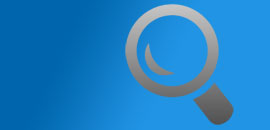 Add Search to your WebHornet Website
